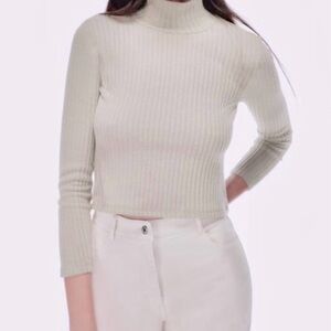 Aritzia Wilfred Free Tamu Turtleneck Birch